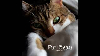 Sleep Tight // Fur Beau (Music for Cat Anxiety &amp; Stress) // Johnny Salib