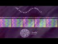 Quarantined Psychedelia FULL ALBUM The Astronomical Miracle Bubblegum Space Rock Psyche