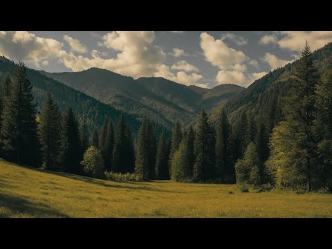 Oisin Leech – October Sun | Emotional Visual Meditation (Art+Music) | Pranamera Art