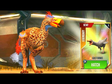 NEW GASTORNIS MAX LEVEL 40 | HT GAME