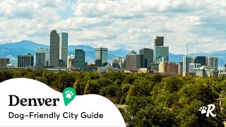 Denver Dog-Friendly Guide: Best Pet-Friendly Restaurants, Bars & Activities | Rover