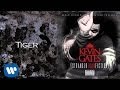 Kevin Gates Tiger