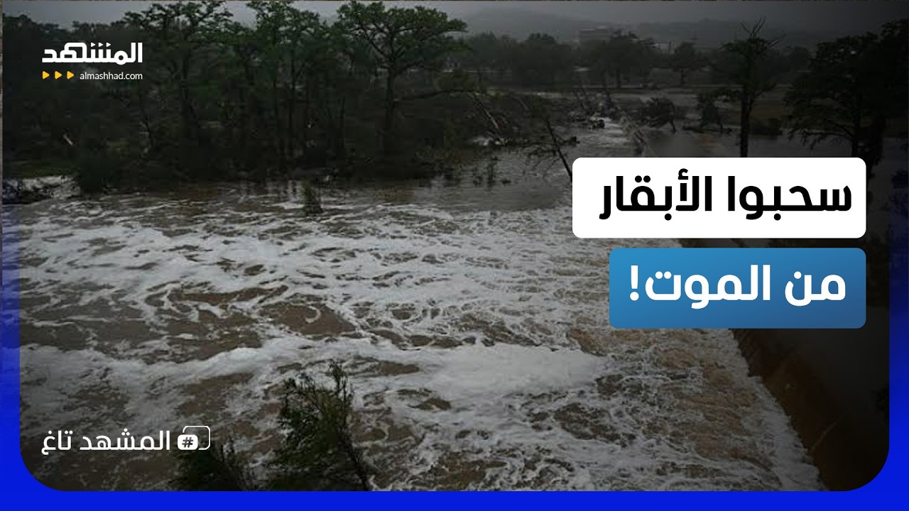 ينقلون الأبقار بالقوارب لإنقاذها من الغرق.. فيضانات مرعبة في الأرجنتين! - الم?