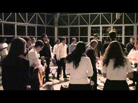 EU PEÇO AOS SERES DA FLORESTA - FLOR DE JAGUBE - CHICO CORRENTE