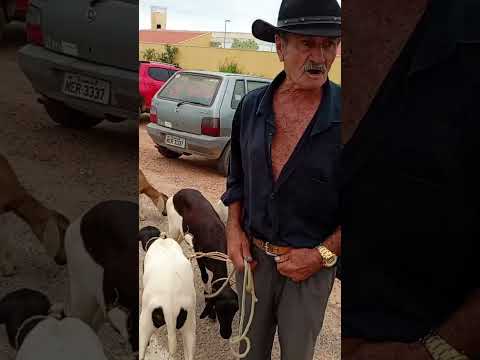 Feira de campos Sales ceará 