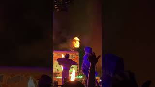 Tyler, The Creator na All Points East: gościnie Rex Orange County i A$AP Rocky