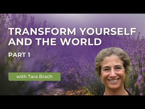 Transform Yourself and the World | Tara Brach on the Healing Power of Imagination (Part 1)