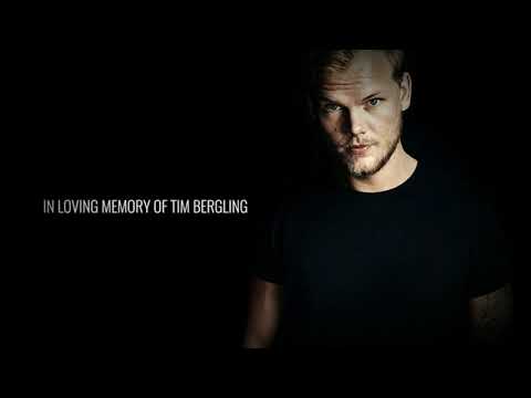 The Days & High On Life Avicii Vs Martin Garrix (Legacy Wolfy Mash Up)