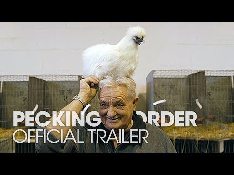 Pecking Order (2017) Trailer