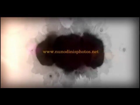 Nuno Dinis Photos 2016