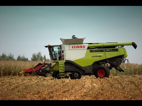 2x Claas Lexion vs. 500 ha Kukurydzy 2014 Parcewo - Andrzej Brzozowski