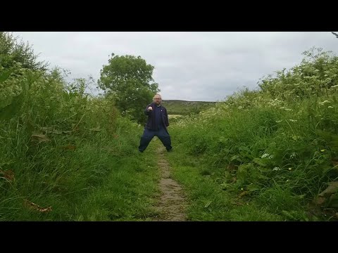 Richard Dawson - Horse and Rider (Official Video)