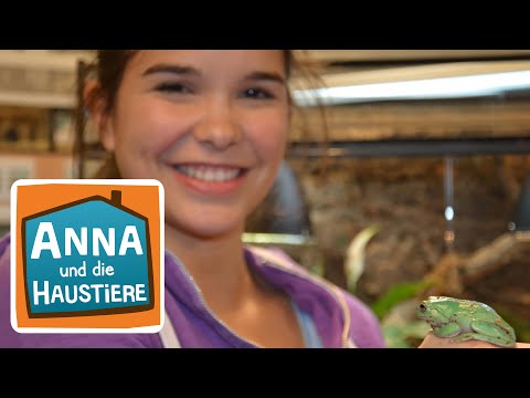 Frösche | Information für Kinder | Anna und die Haustiere