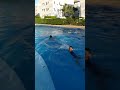 Desafio Na Piscina Pt2