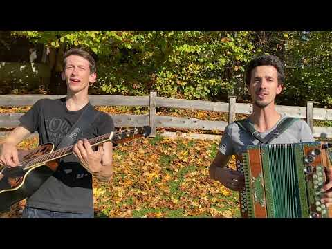 Ziachfuchs  "A ganze Weil"