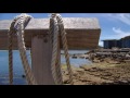 Picnic Island Tasmania WIN News