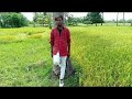 Ethuku Pulla Ponakku Enn Mela WhatsApp Status Tamil