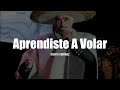 Vicente Fernández - Aprendiste A Volar (LETRA)