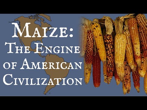 Maize: The Engine of American Civilization