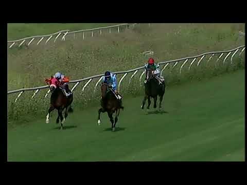 Napoli Galoppo 05/08/2022 - 1ª corsa