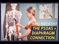 Best Psoas Diaphragm Exercise For Improved Breathing