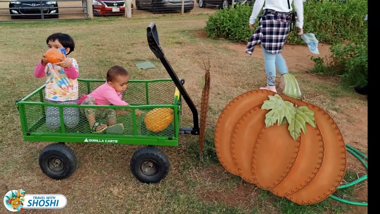Pumpkin Patch Vlog | Grapewine Halls Pumpkin Farm & Corn Maze | Fall Vlog | Grapewine Fall Festival