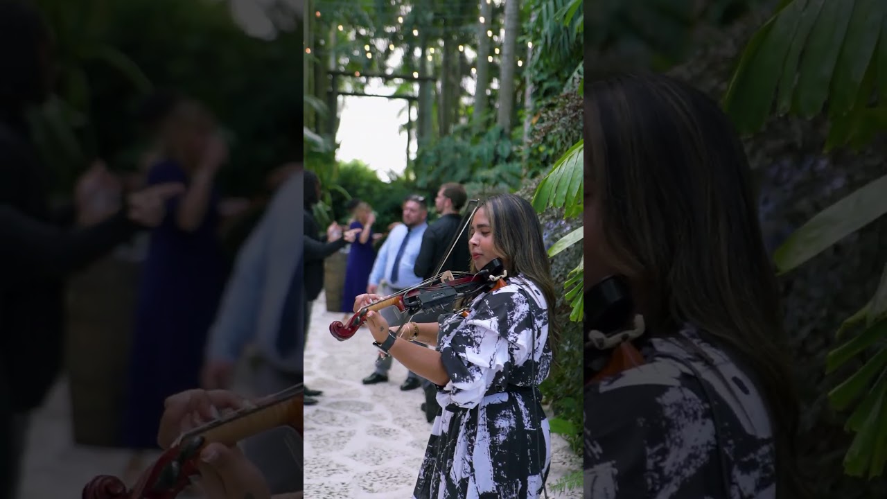 Promotional video thumbnail 12 for Live Violinist