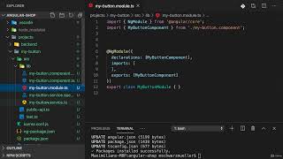 14  Angular Libraries   An Introduction
