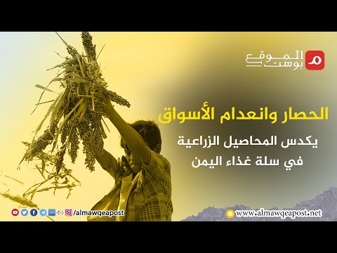 شاهد..الحصار وانعدام الأسواق يكدس المحاصيل الزراعية في سلة غذاء اليمن