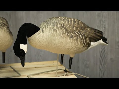 Avian X Full Body Canada Decoys