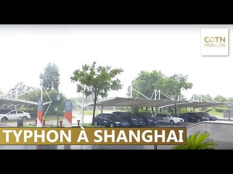 download lagu mp3 mp4 Typhon Sur Shanghai, download lagu Typhon Sur Shanghai gratis, unduh video klip Typhon Sur Shanghai