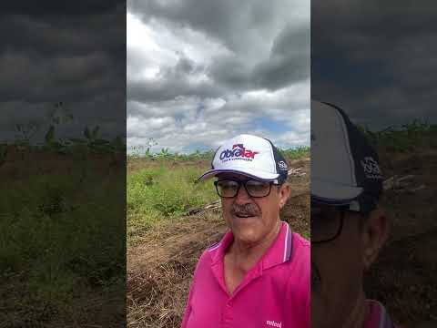 Cerca bem feita para plantar banana, no sertão das Marrecas, Groaíras/Ce🌾🌾