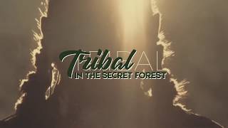 Tribal in The Secret Forest  Summer Opening Party  Saturday June 15th