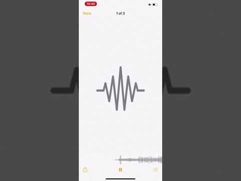 SamRecks - Belly **EXCLUSIVE**