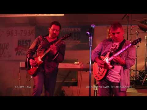 Guava Jam clips Aug 21, 2016