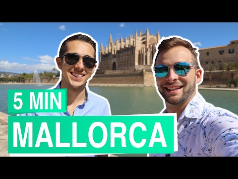 Mallorca in 5 Minuten - von Palma bis Alcúdia im Norden der Insel
