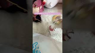 にいちゃん神かよ#購入品紹介 #ホロライブ #ばすれ #宝鐘マリン #星街すいせい #夏色まつり