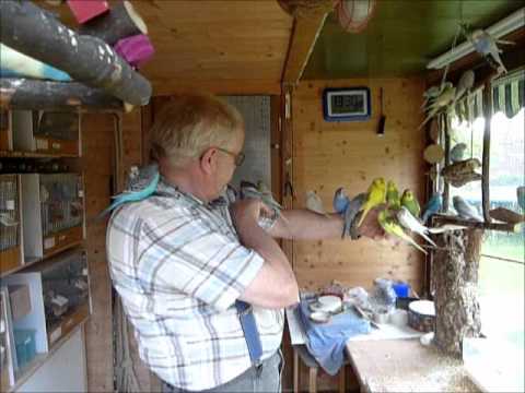 2011 06 12 Der heutige Wellispielfilm vom Wellifluesterer