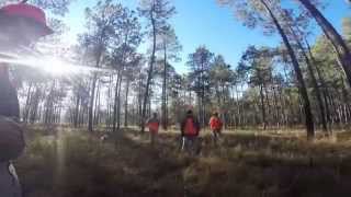 Southern Woods Christmas Quail Hunt