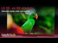 LG C2- en G2-oled-tv Review - Oled weer beter, maar ook duurder