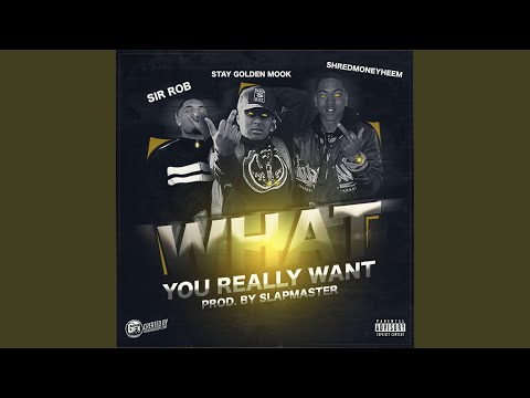 What You Really Want (feat. Sir Rob & ShredMoneyHeem)