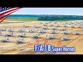 Home To 250 Fighter Jets 4 Carrier Air Wings US Naval Air Station Oceana