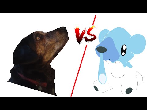 Gino e  i Pokèmon: salviamo cubchoo!