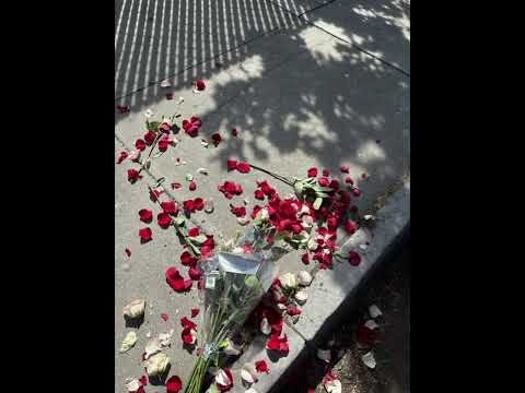 NEVA NIKU TSHIKA ( feat. Tonny_EX_&_YH_Dee_Savage_Official_Audio_2026)