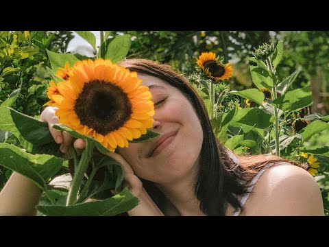 Nailea Shay - You Acoustic (Official Video)