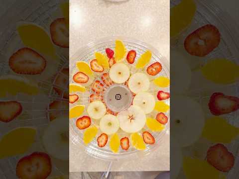 園芸 ドライフルーツ