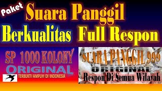 Download lagu 2 SUARA PANGGIL WALET ORIGINAL RESPON FULL DAN AWET mp3 Download lagu 2 SUARA PANGGIL WALET ORIGINAL RESPON FULL DAN AWET mp3