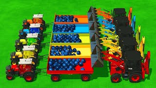 BLUEBERRY HARVEST & HEAVY JCB Excavator Loading 🚜🫐 Farming Simulator 25