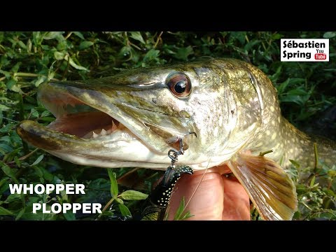 River2Sea Whopper Plopper 130 13cm 39g Perch 09 F