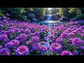 No ADS MORNING RELAXING MUSIC Euphoric Positive Energy Stress Relief Calm Morning Music 1